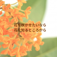 やりたいこと探しをしていても、豊かにも幸せにもなれないのは、なぜかというと・・。